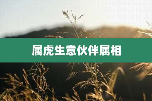 属虎生意伙伴属相