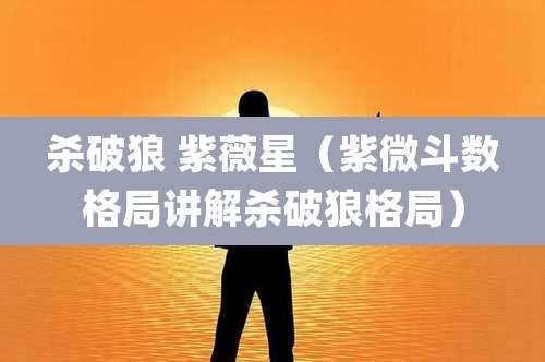 杀破狼 紫薇星(紫微斗数格局讲解杀破狼格局)