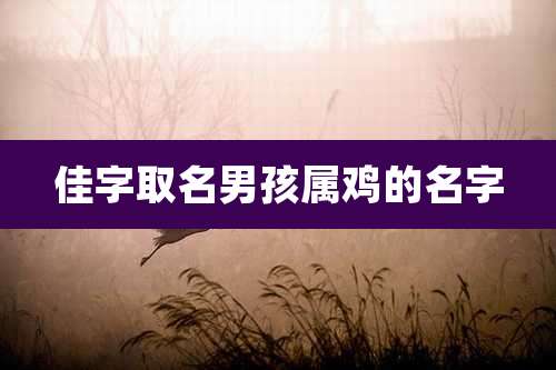 佳字取名男孩属鸡的名字