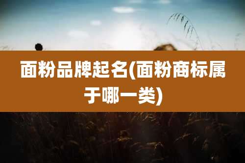 面粉品牌起名(面粉商标属于哪一类)