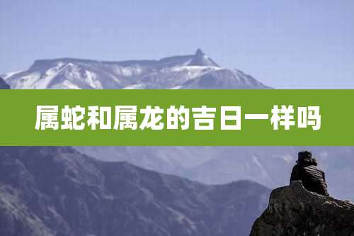 属蛇和属龙的吉日一样吗