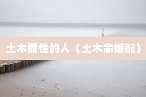 土木属性的人(土木命婚配)