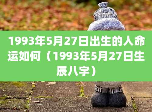 1993年5月27日出生的人命运如何(1993年5月27日生辰八字)