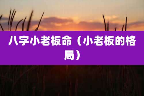 八字小老板命(小老板的格局)