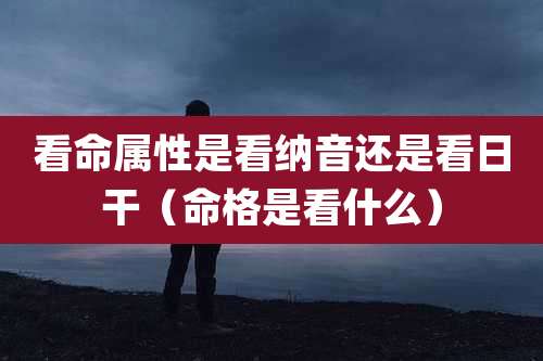 看命属性是看纳音还是看日干(命格是看什么)