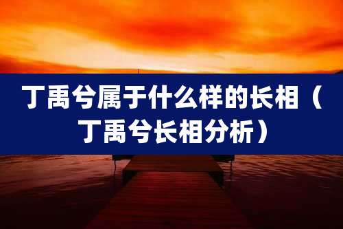丁禹兮属于什么样的长相(丁禹兮长相分析)