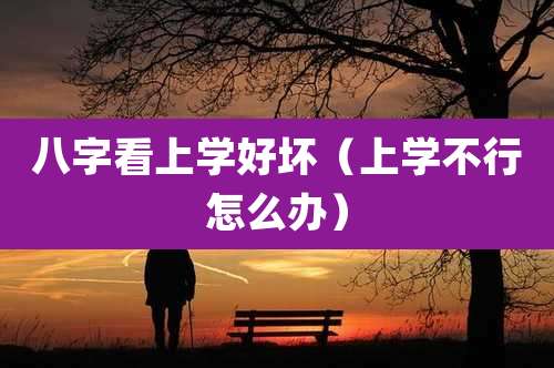 八字看上学好坏(上学不行怎么办)