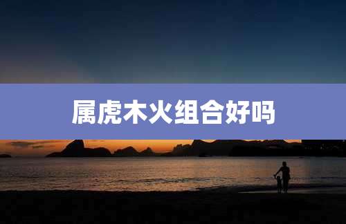 属虎木火组合好吗
