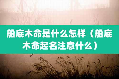 船底木命是什么怎样(船底木命起名注意什么)