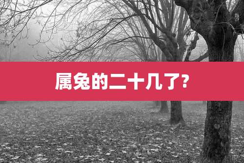 属兔的二十几了?