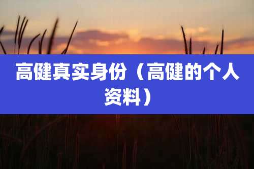 高健真实身份(高健的个人资料)
