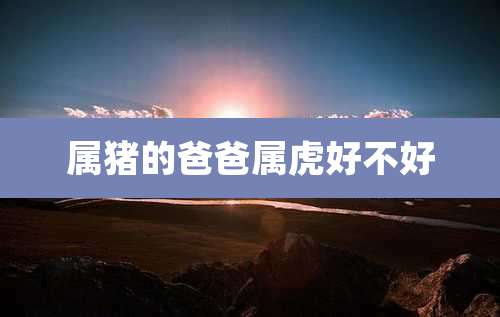 属猪的爸爸属虎好不好