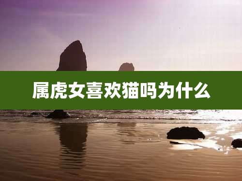 属虎女喜欢猫吗为什么