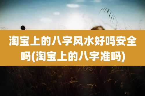淘宝上的八字风水好吗安全吗(淘宝上的八字准吗)