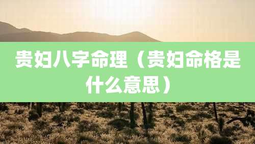 贵妇八字命理(贵妇命格是什么意思)