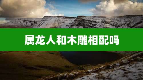 属龙人和木雕相配吗