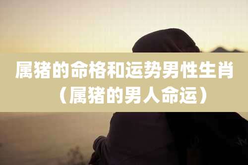属猪的命格和运势男性生肖(属猪的男人命运)