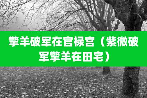 擎羊破军在官禄宫(紫微破军擎羊在田宅)