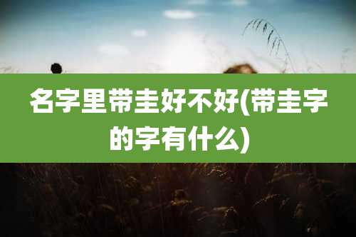 名字里带圭好不好(带圭字的字有什么)