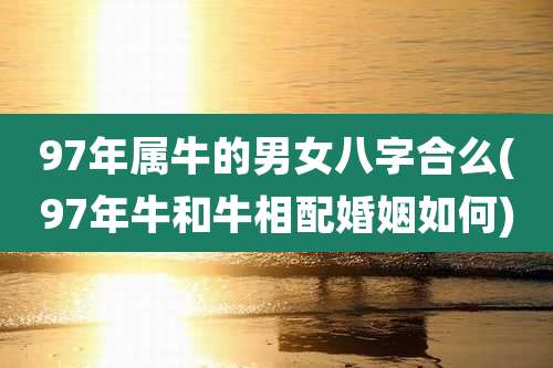97年属牛的男女八字合么(97年牛和牛相配婚姻如何)