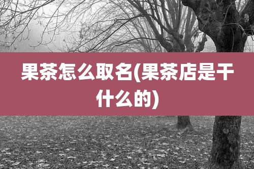 果茶怎么取名(果茶店是干什么的)
