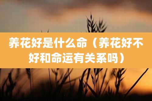 养花好是什么命(养花好不好和命运有关系吗)