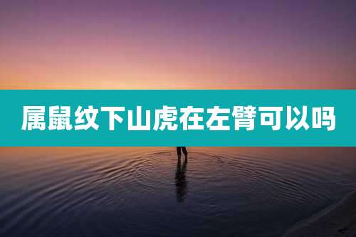 属鼠纹下山虎在左臂可以吗