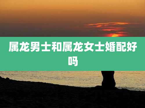 属龙男士和属龙女士婚配好吗
