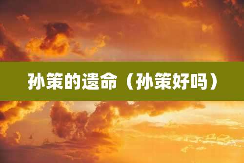 孙策的遗命(孙策好吗)