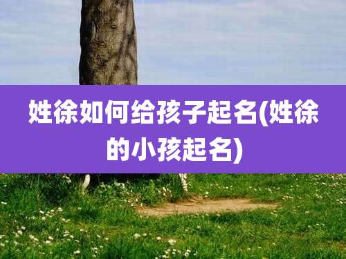 姓徐如何给孩子起名(姓徐的小孩起名)