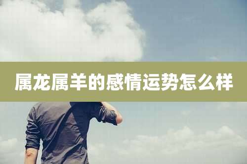 属龙属羊的感情运势怎么样