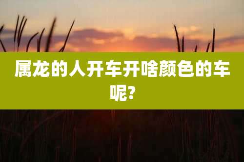属龙的人开车开啥颜色的车呢?