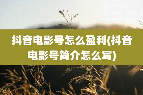 抖音电影号怎么盈利(抖音电影号简介怎么写)