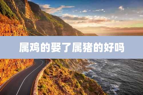 属鸡的娶了属猪的好吗