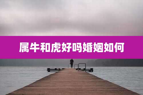 属牛和虎好吗婚姻如何