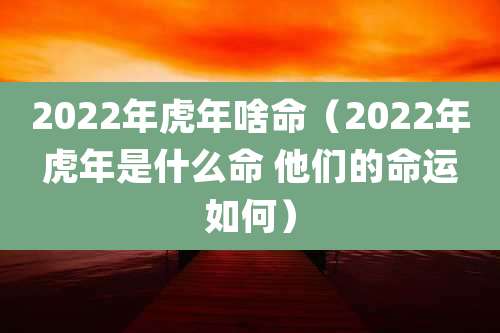 2022年虎年啥命(2022年虎年是什么命 他们的命运如何)