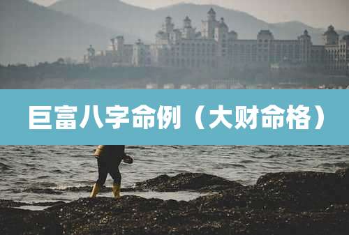 巨富八字命例(大财命格)