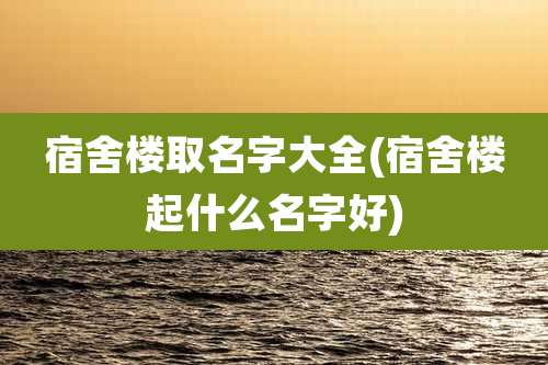 宿舍楼取名字大全(宿舍楼起什么名字好)