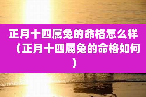 正月十四属兔的命格怎么样(正月十四属兔的命格如何)