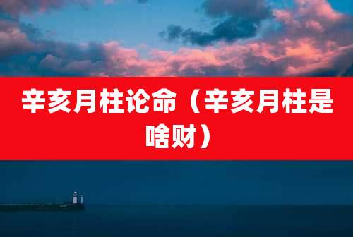 辛亥月柱论命(辛亥月柱是啥财)