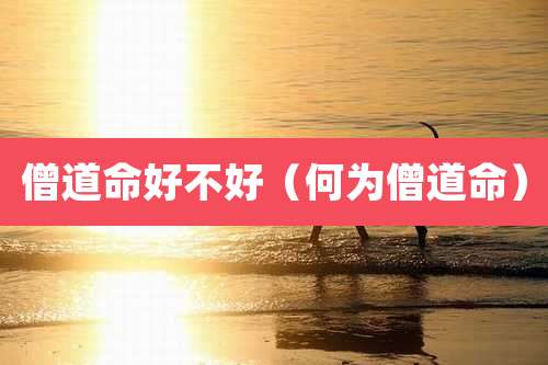 僧道命好不好(何为僧道命)