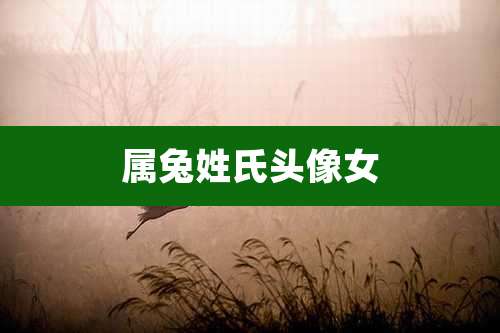 属兔姓氏头像女