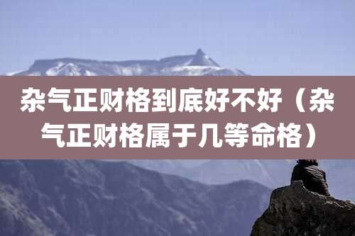 杂气正财格到底好不好(杂气正财格属于几等命格)