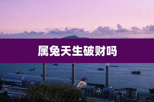 属兔天生破财吗