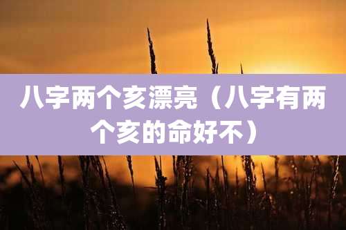 八字两个亥漂亮(八字有两个亥的命好不)