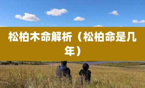 松柏木命解析(松柏命是几年)