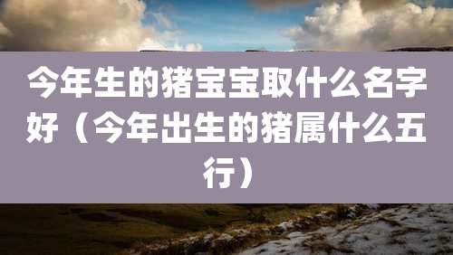 今年生的猪宝宝取什么名字好(今年出生的猪属什么五行)