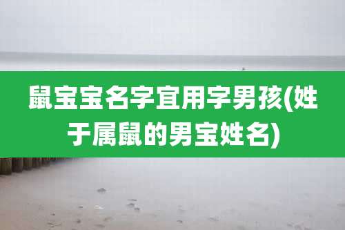 鼠宝宝名字宜用字男孩(姓于属鼠的男宝姓名)