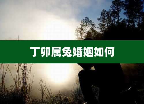 丁卯属兔婚姻如何