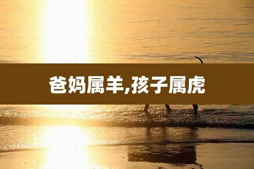 爸妈属羊,孩子属虎